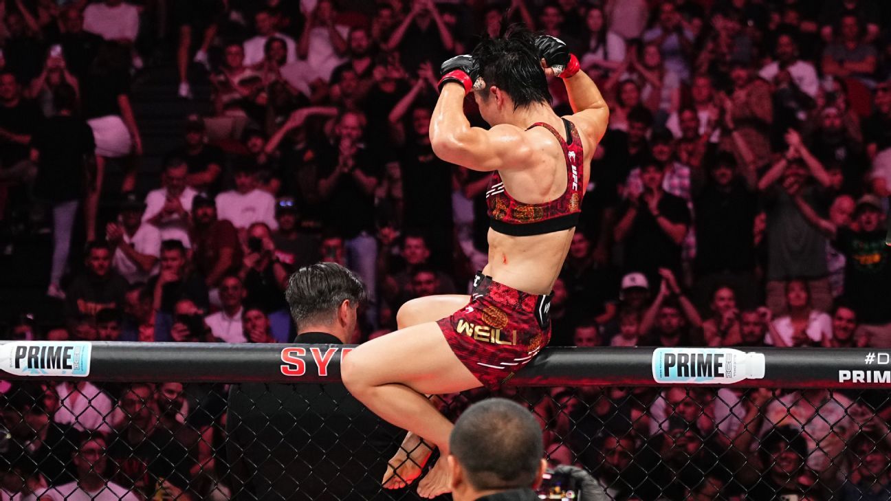 疯狂的球迷 疯狂的球迷