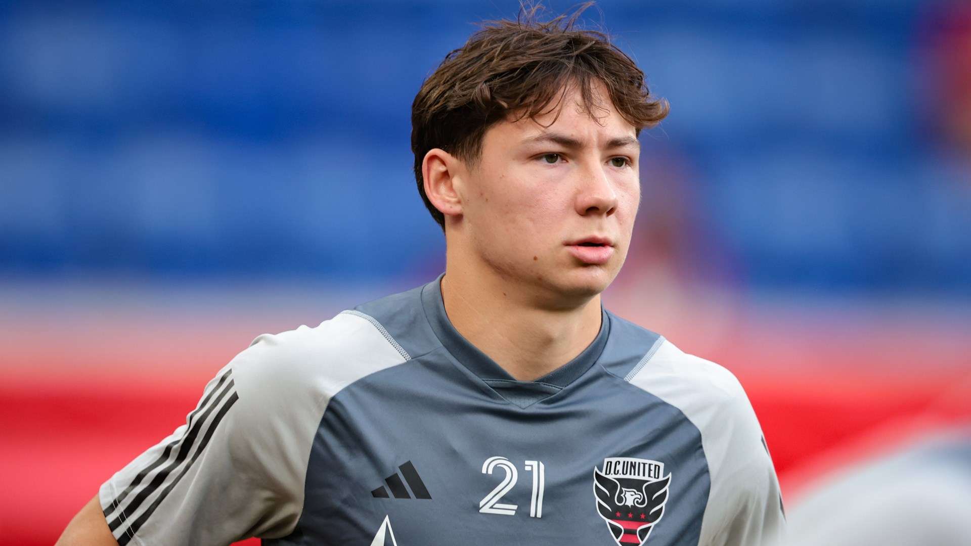 争取在未来 争取在未来