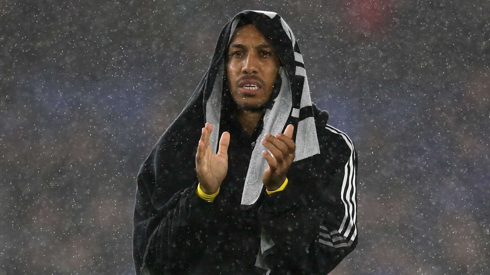 的年轻前锋 的年轻前锋